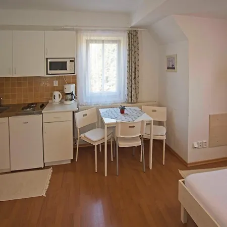 Maison d'hôtes Minerva Špindlerŭv Mlýn