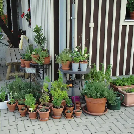 Maison d'hôtes Minerva